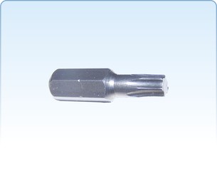 Bity Torx volně ložené (25 mm a 50 mm)